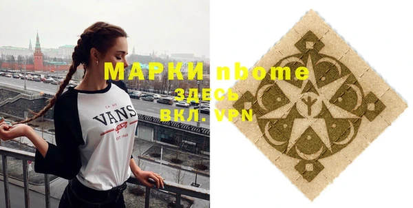 хмурый Алексин