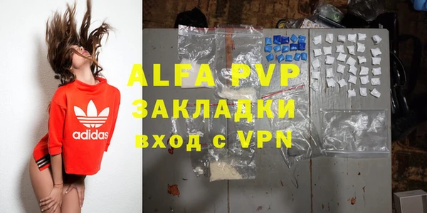 хмурый Алексин